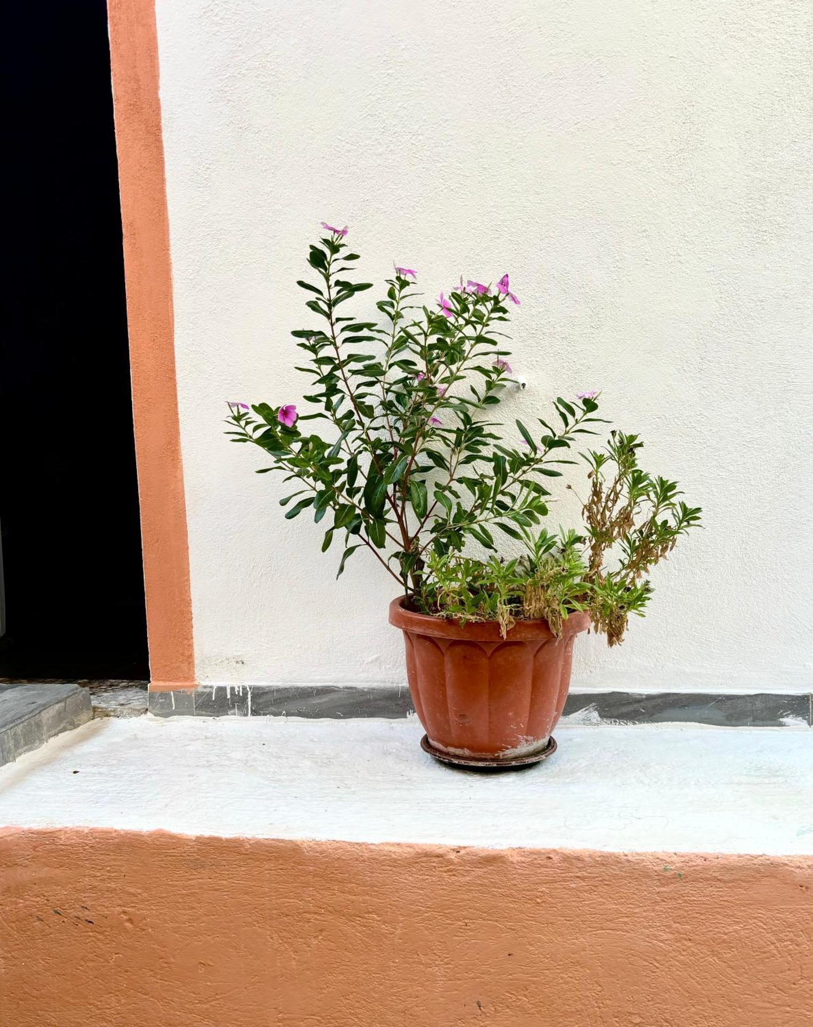 Traditional Corfiot House Perivólion المظهر الخارجي الصورة