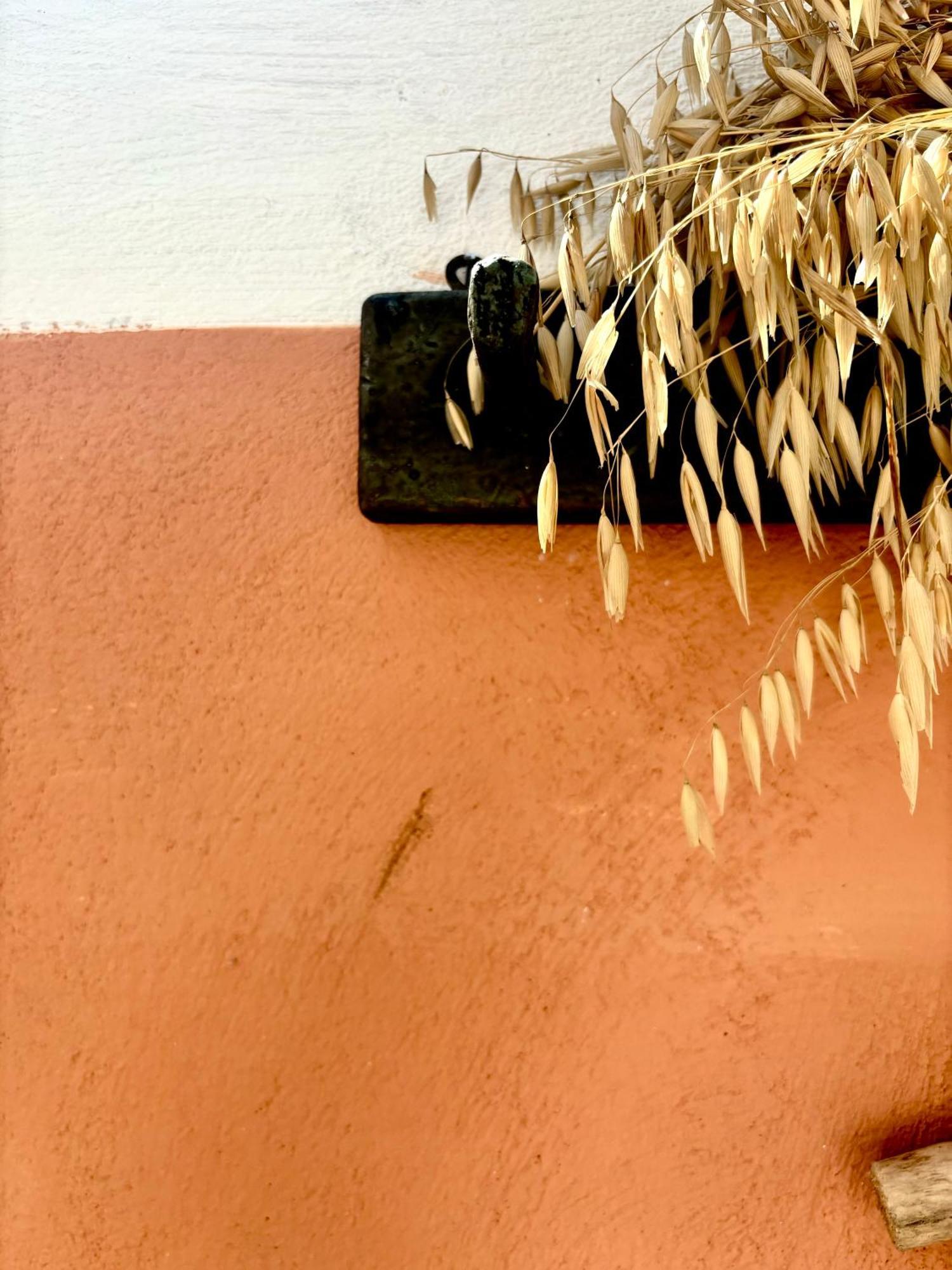 Traditional Corfiot House Perivólion المظهر الخارجي الصورة